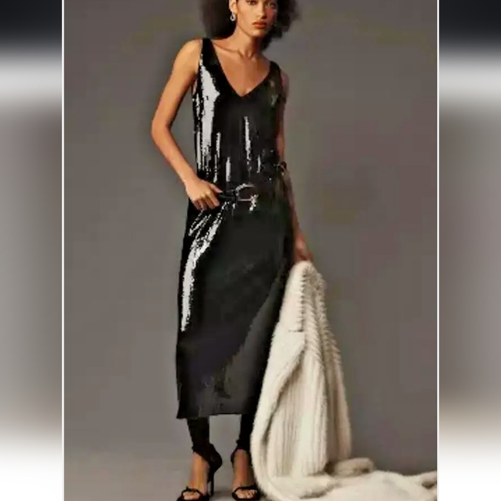 Sophie Rue Selia Sequin Dress